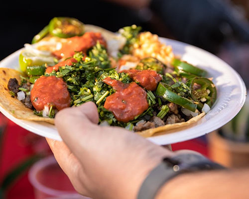 Beautifully plated taco